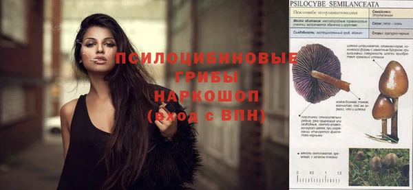 синтетический гашиш Костерёво