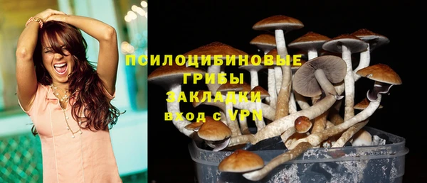 спиды Михайлов