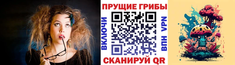darknet клад  Звенигово  Псилоцибиновые грибы MAGIC MUSHROOMS 